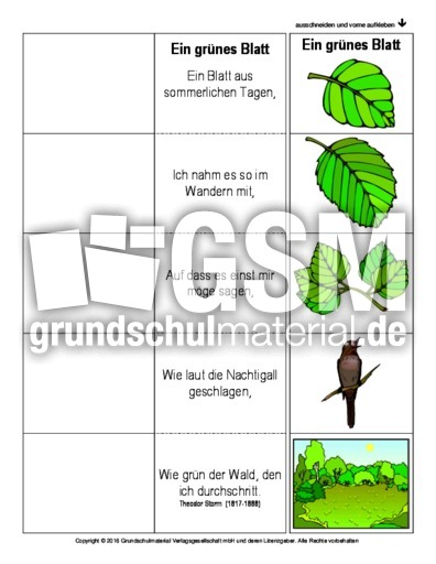 Flip-Flap-Ein-grünes-Blatt-Storm.pdf